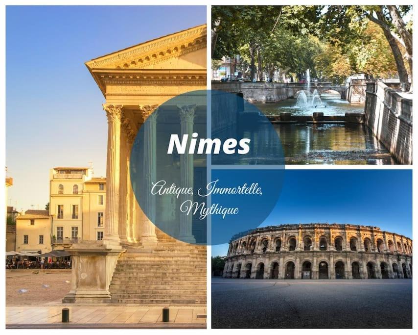 Le Murmure Du Palmier * Mer A 2 Min * Parking Prive * Terrasse لا غراند موت المظهر الخارجي الصورة